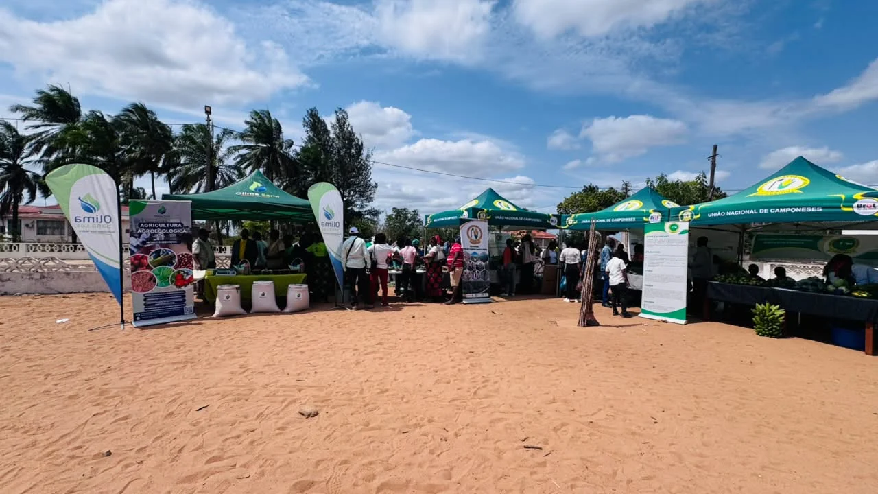 Vista geral dos stands da feira local agroecológica em Meconta.